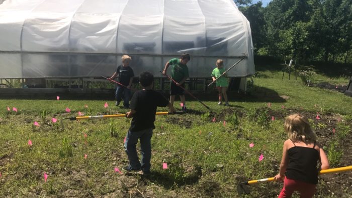 Weeding in the Wildflower Garden